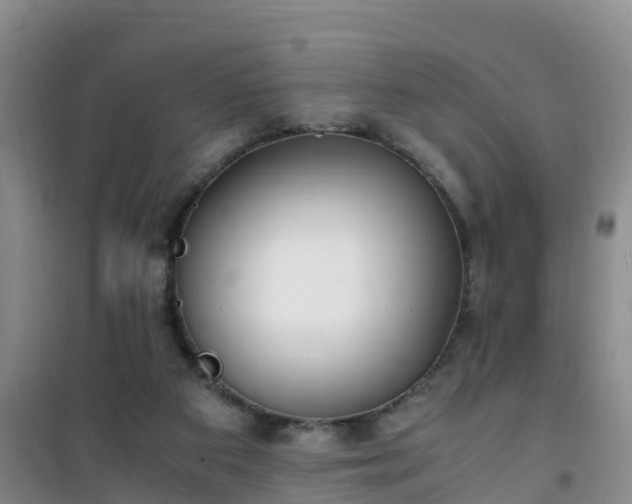 X0000101100113200807031759