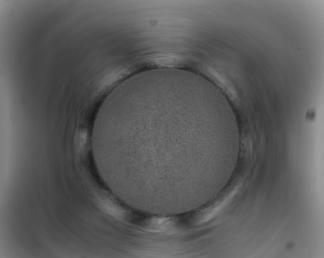 X0000101100117200807031759