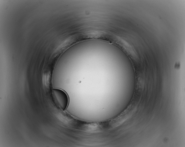 X0000101100118200807031759