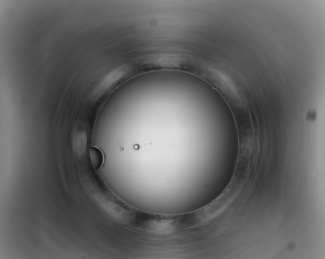 X0000101100120200807031759