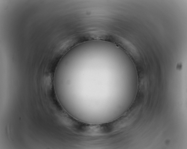 X0000101100121200807031759