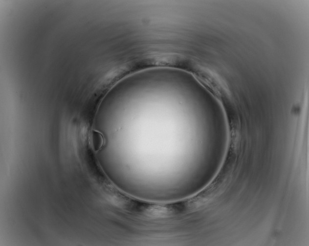 X0000101100123200807031759