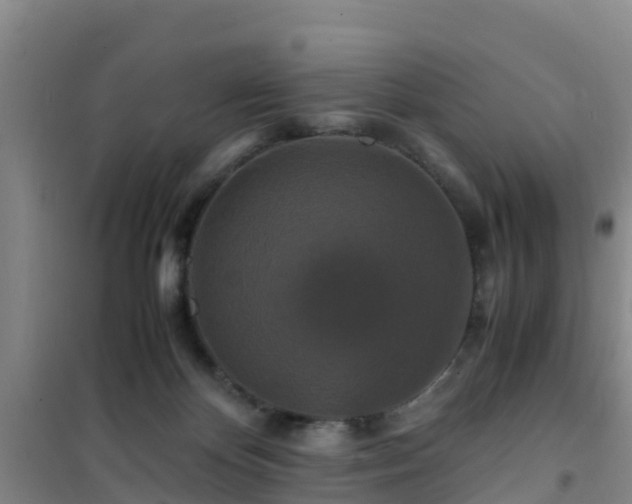 X0000101100124200807031759