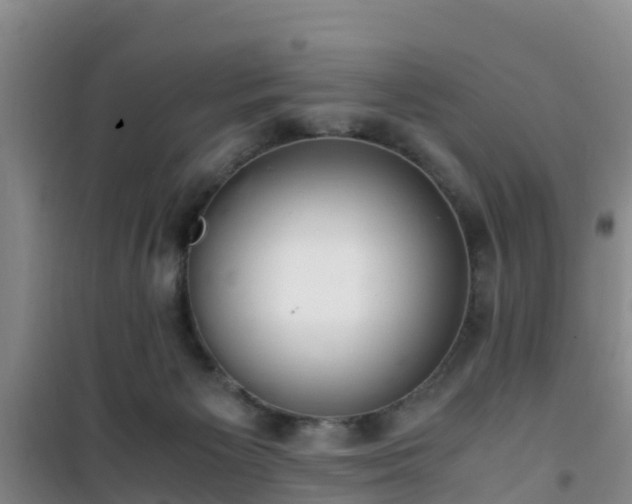 X0000101100125200807031759