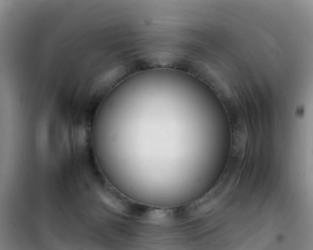 X0000101100126200807031759