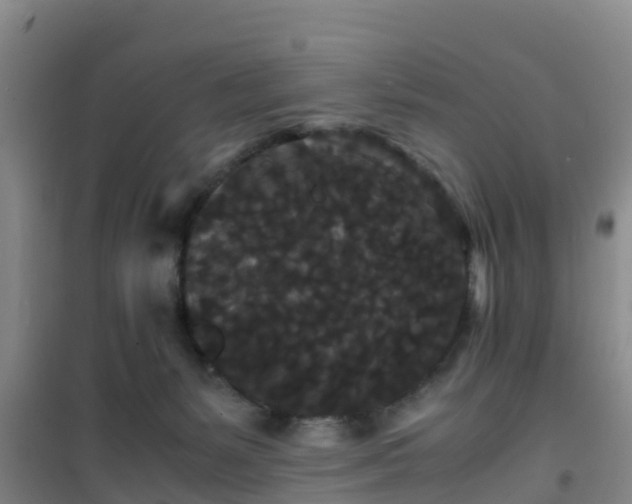 X0000101100127200807031759