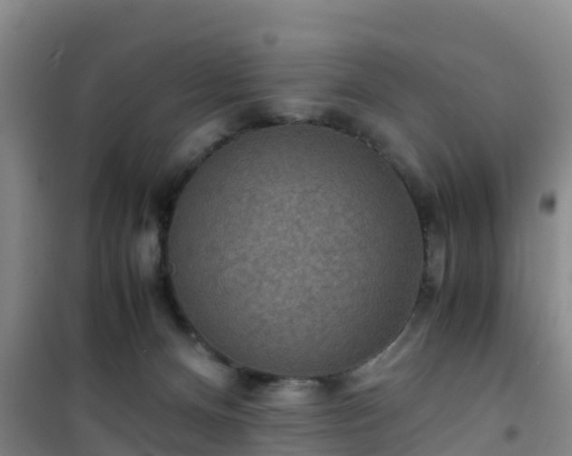 X0000101100128200807031759
