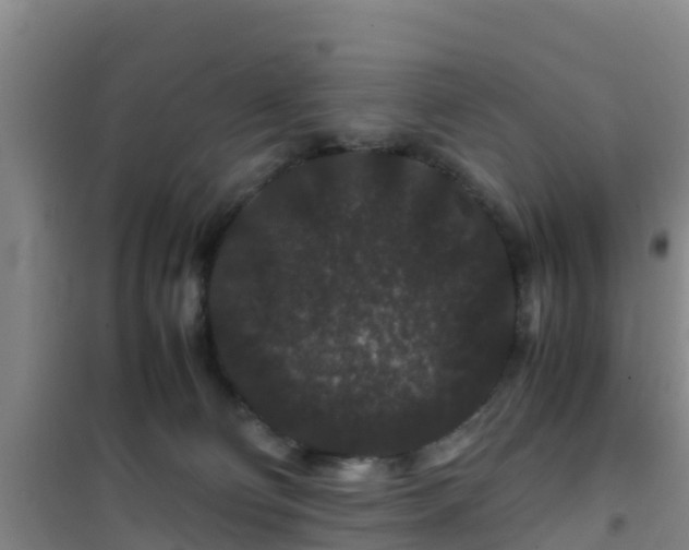 X0000101100130200807031759