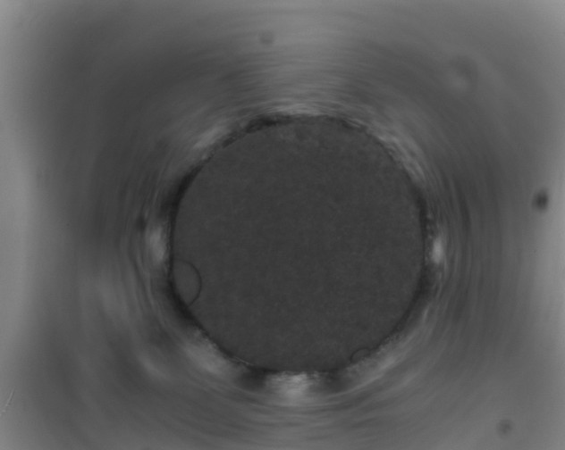 X0000101100131200807031759