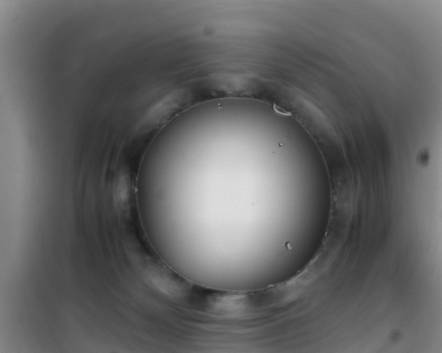X0000101100132200807031759