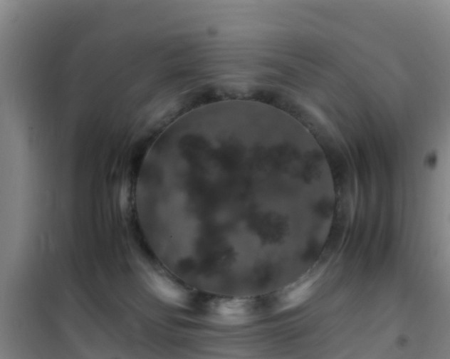 X0000101100134200807031759