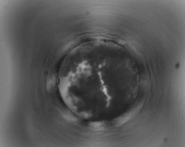 X0000101100139200807031759