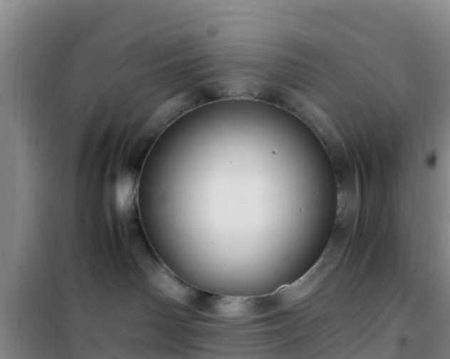 X0000101100142200807031759