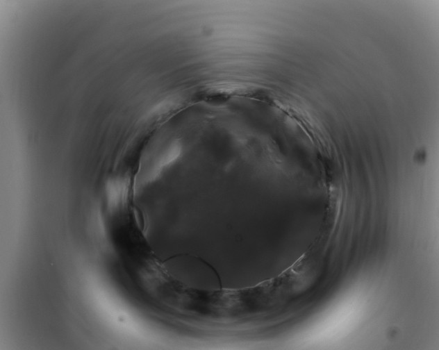 X0000101100143200807031759