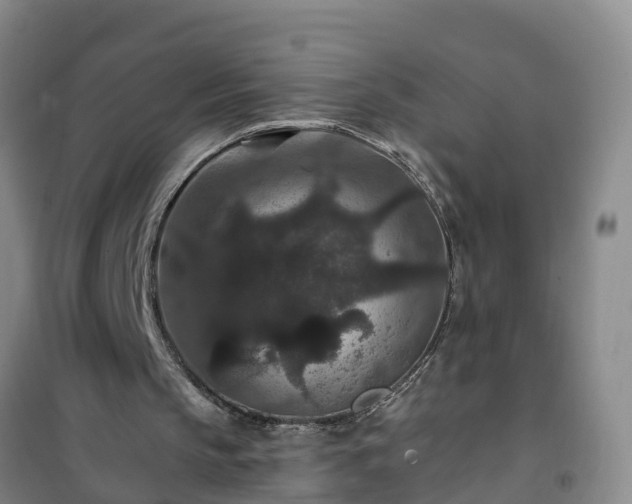 X0000101100145200807031758
