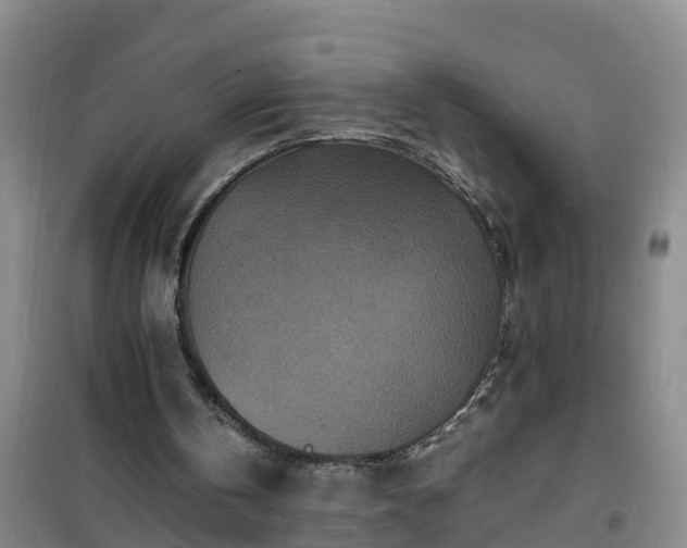 X0000101100146200807031758