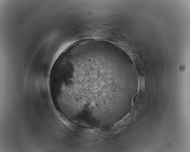 X0000101100147200807031758