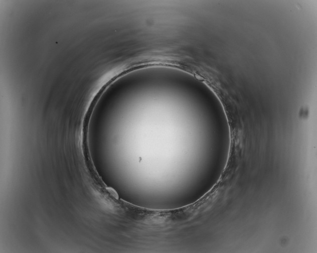 X0000101100148200807031758