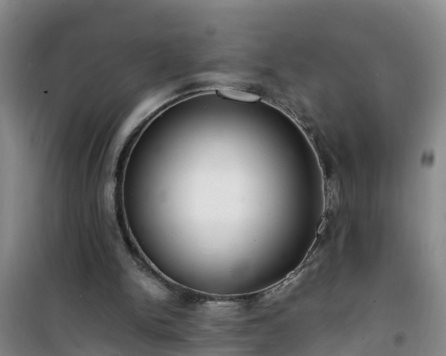 X0000101100150200807031758
