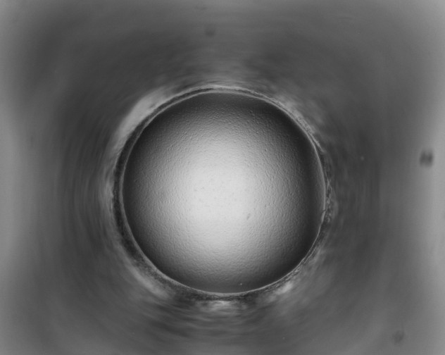 X0000101100151200807031758