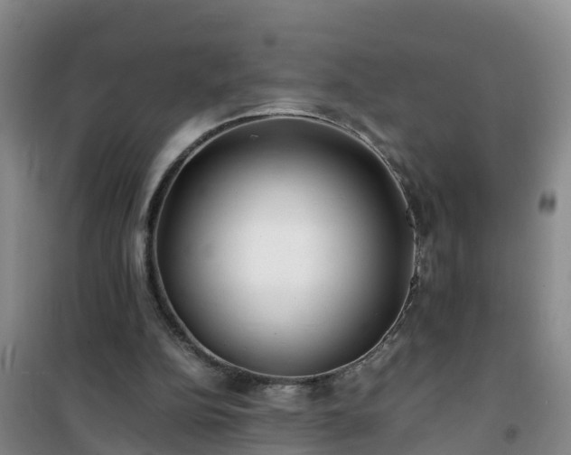 X0000101100152200807031758