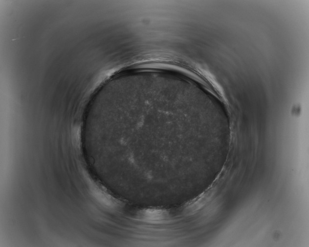 X0000101100154200807031758