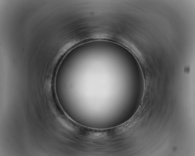 X0000101100155200807031758