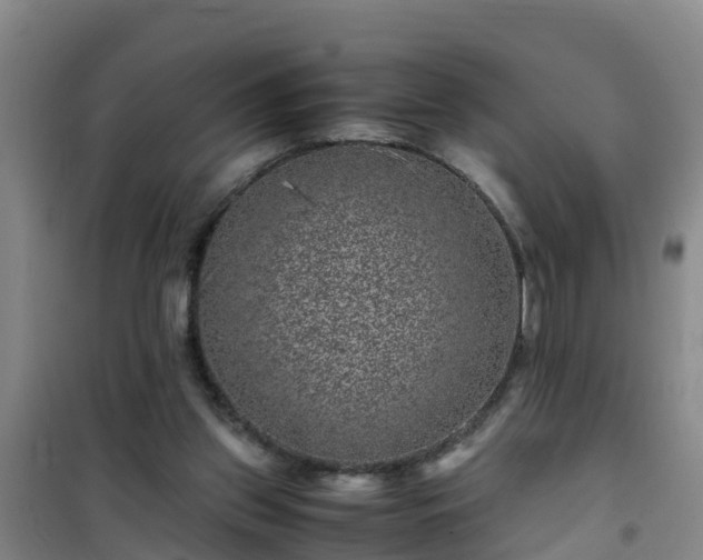 X0000101100157200807031758