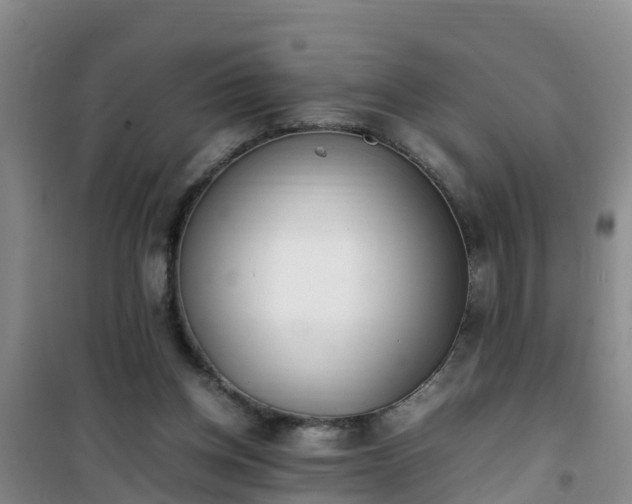 X0000101100158200807031758
