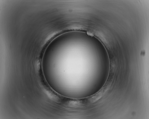 X0000101100160200807031759