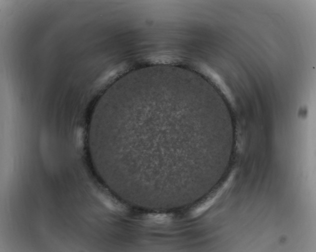 X0000101100161200807031759