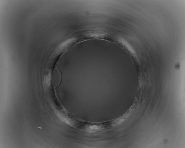 X0000101100163200807031759