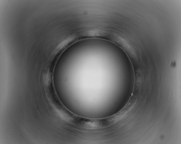 X0000101100164200807031759