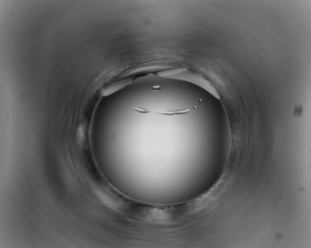 X0000101100166200807031759