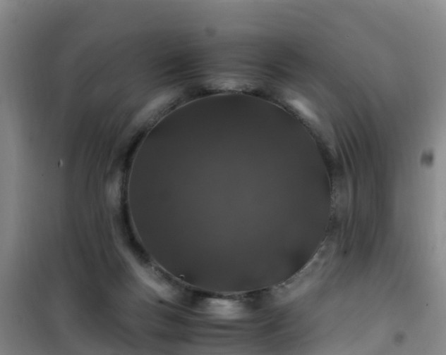 X0000101100167200807031759