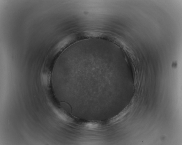 X0000101100168200807031759