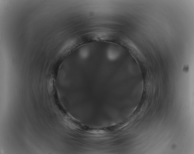 X0000101100169200807031759