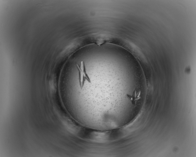 X0000101100170200807031759