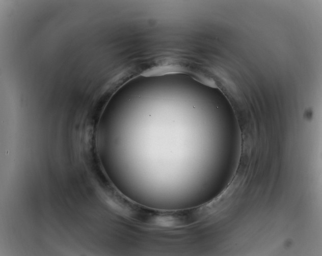 X0000101100171200807031759