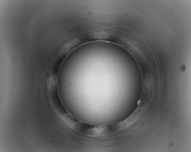 X0000101100172200807031759