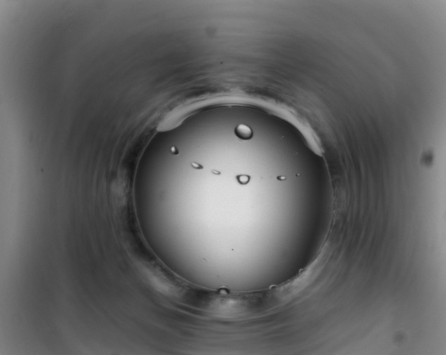 X0000101100174200807031759