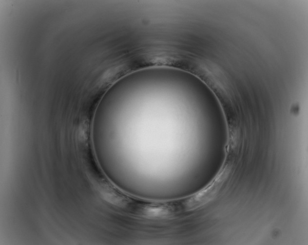 X0000101100175200807031759