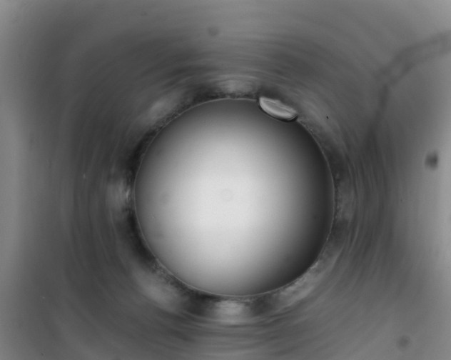 X0000101100176200807031759