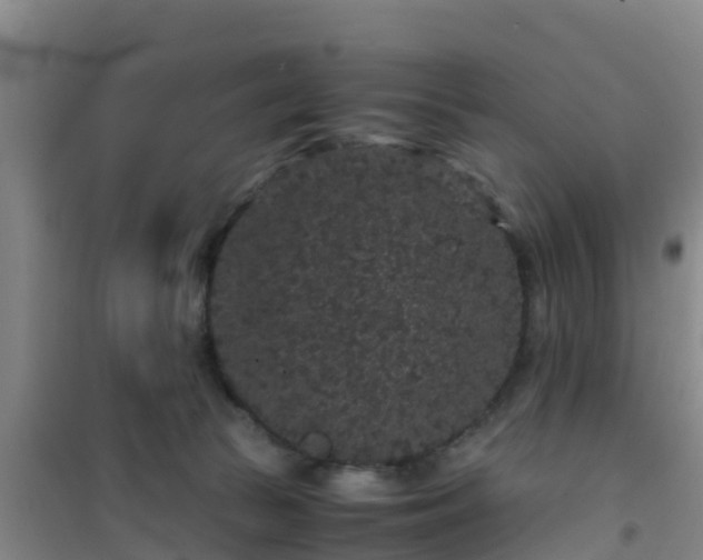 X0000101100177200807031759