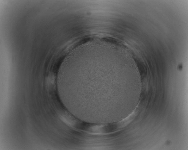 X0000101100178200807031759