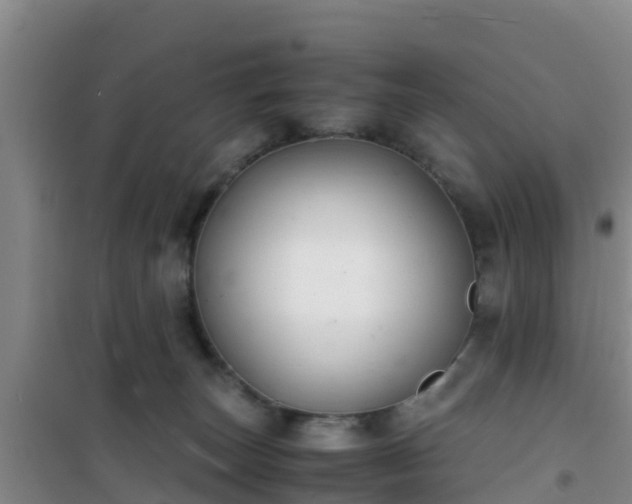 X0000101100179200807031759