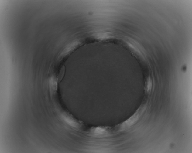 X0000101100180200807031759