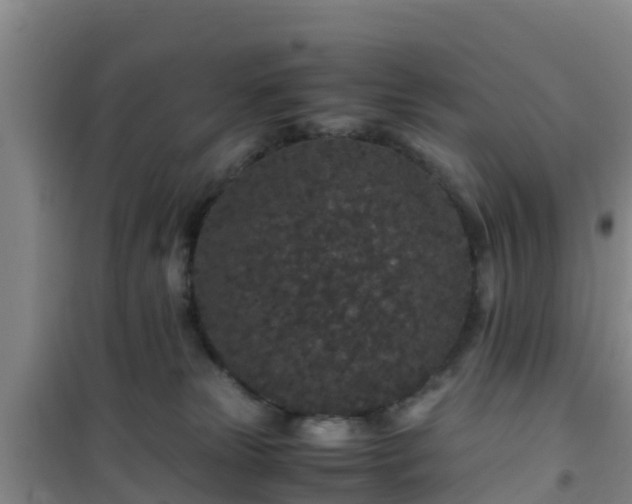 X0000101100181200807031759