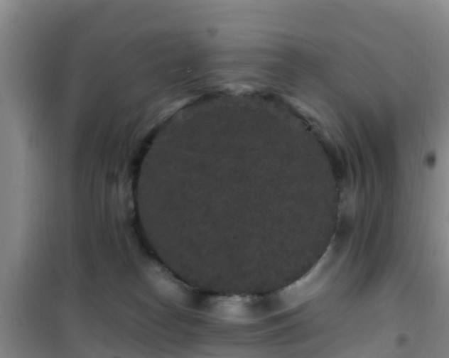 X0000101100182200807031759