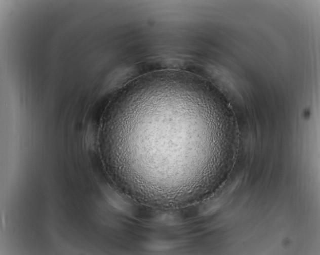 X0000101100185200807031759